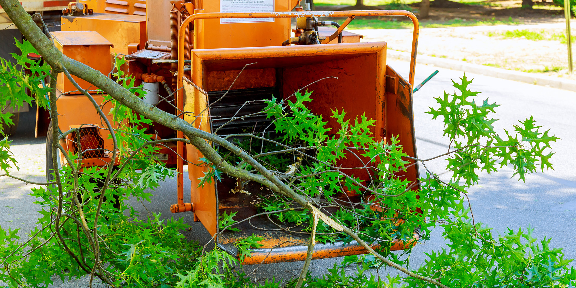header-treeCare